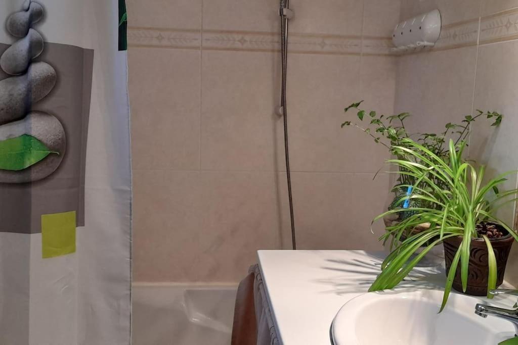 Le Chausse A Bres Chambre D'Hotes 2 Payzac  외부 사진