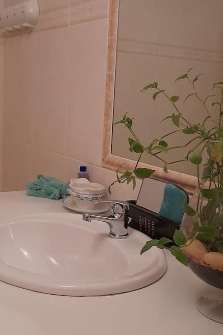 Le Chausse A Bres Chambre D'Hotes 2 Payzac  외부 사진